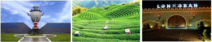 22 amazing surprise of tour